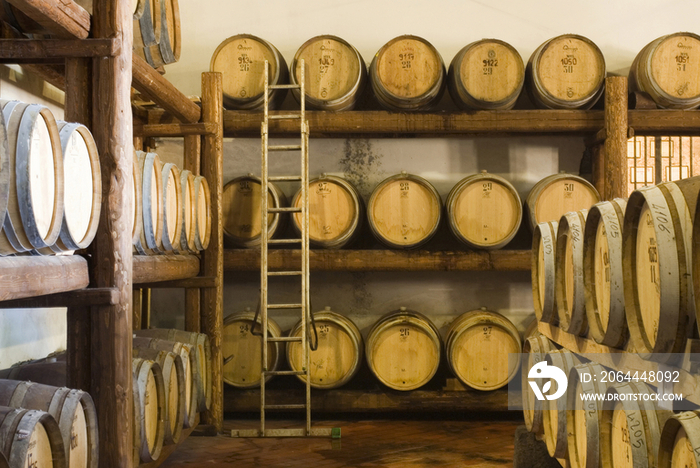 Italy, Sicily, Viagrande, barrels in cellar at Benanti Wine Estate