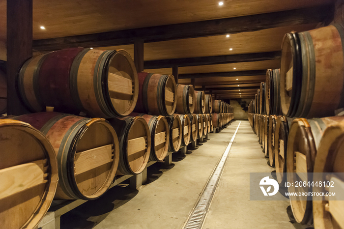 Cellar at Chateau de Sales, Bordeaux, France