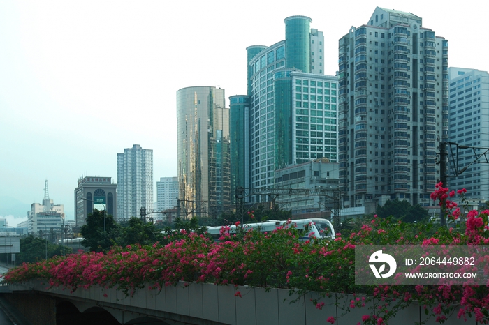 深圳市人民桥及城市建筑