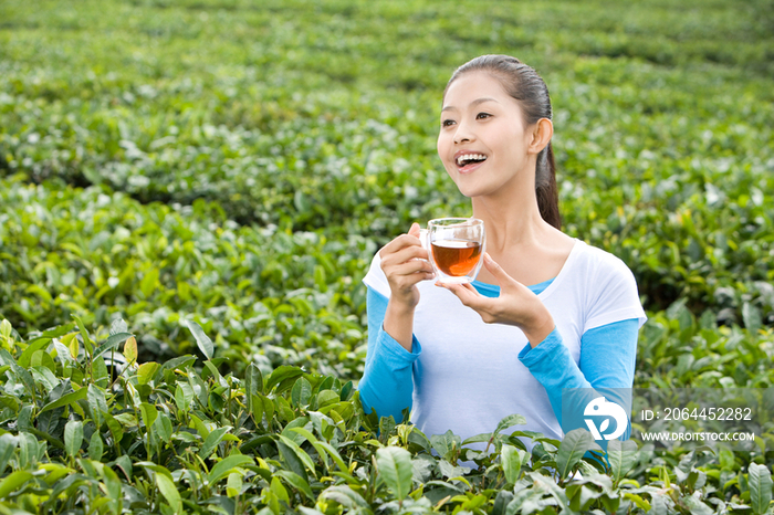 青年女子在茶园喝茶