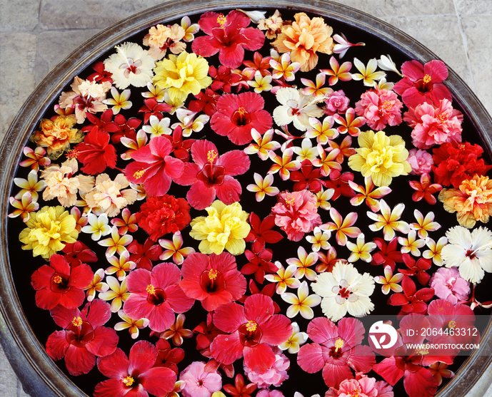 Flowers floating in a basin with water used in spa treatment 