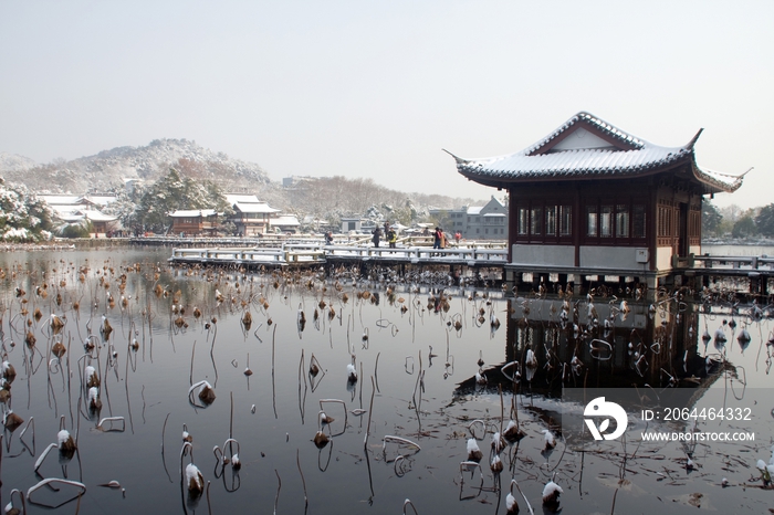 杭州西湖曲院风荷雪景