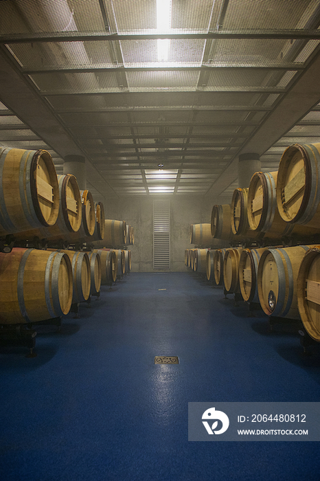 Barrels in winery