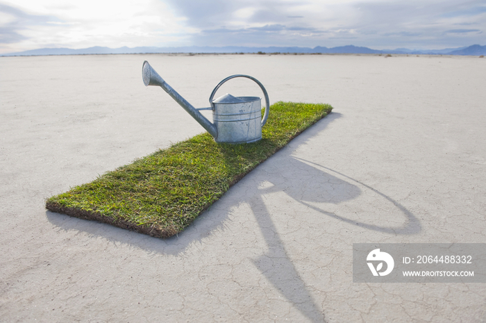 Water Pail on Strip of Grass