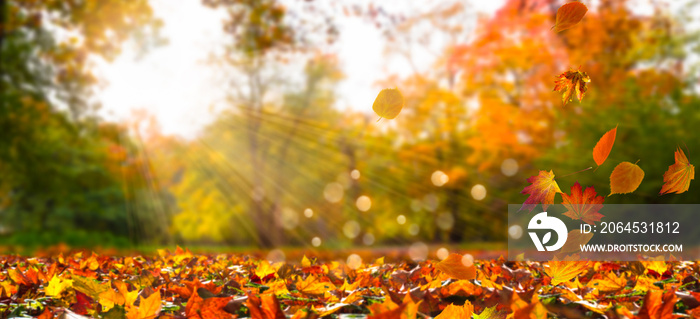 idyllische herbstlandschaft