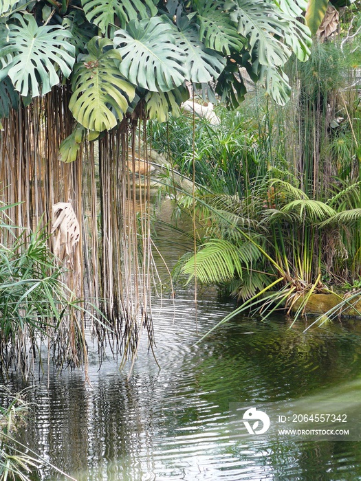 绿色风景图片