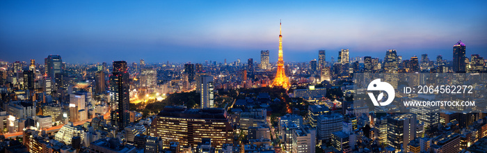 东京全景北夜