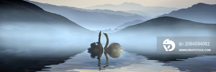 美丽浪漫的天鹅在朦胧的湖与山的形象