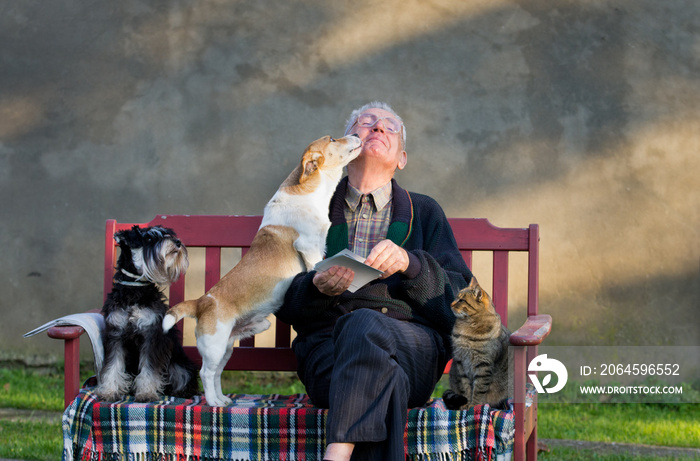 坐在长凳上的老人，腿上有猫和狗