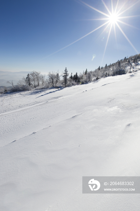 滑雪胜地