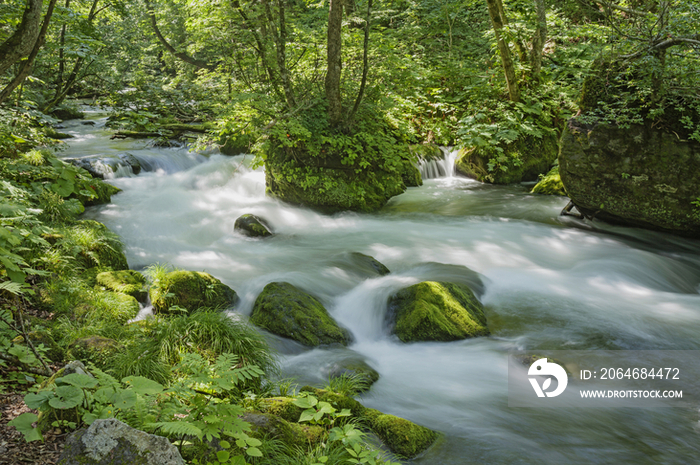 Oirase Mountain Stream, Towada, Aomori Prefecture, Japan