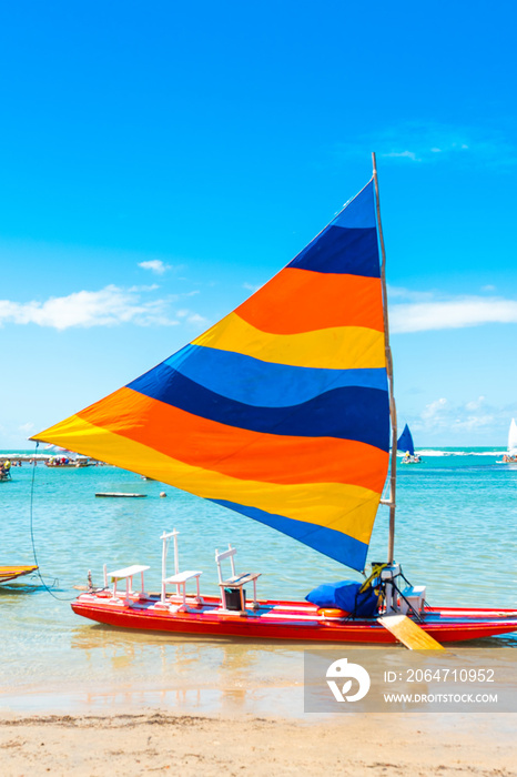 巴西伯南布哥州伊波胡卡市加林哈斯港海滩上的帆船。垂直