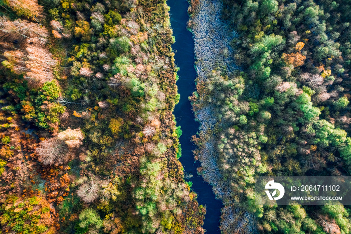 秋季河流和沼泽俯视图