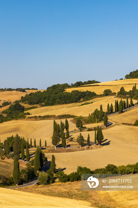 Cipressi di Monticchielo，意大利蒙特普尔恰诺附近典型的托斯卡纳景观