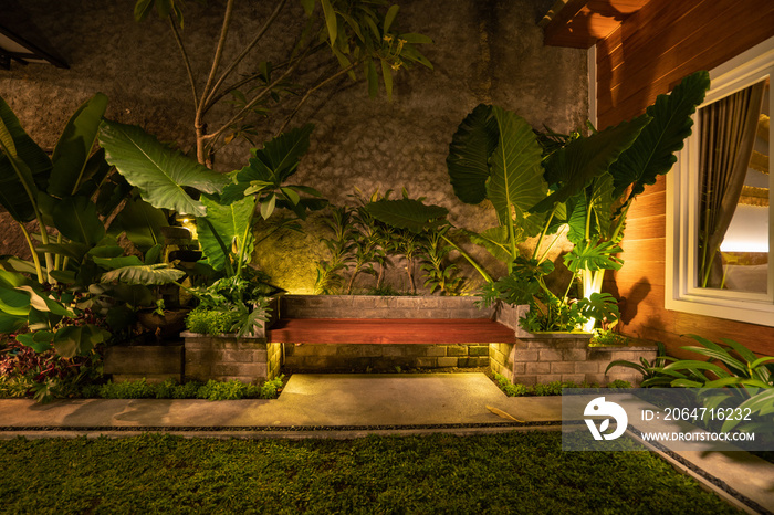 tropical Backyard Garden Illumination. Illuminated Garden at Night with Various of Plants