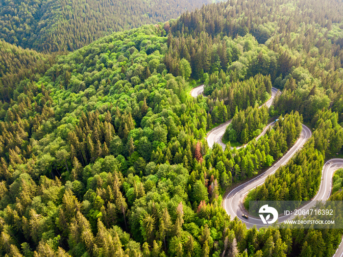 绿色森林和空旷道路交通的鸟瞰图