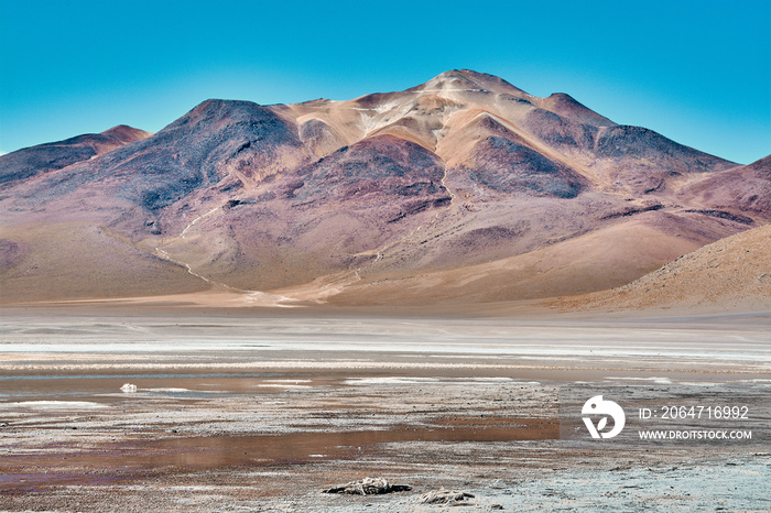 Laguna colorada in Bolivia, Amazing landscape