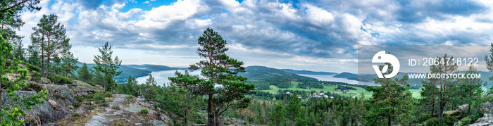 斯堪的纳维亚野生山脉的全景，有松树林、村庄和两个大海b