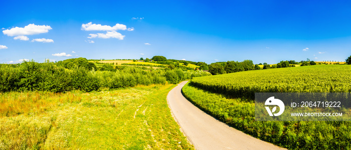 穿越乡村夏日景观的道路