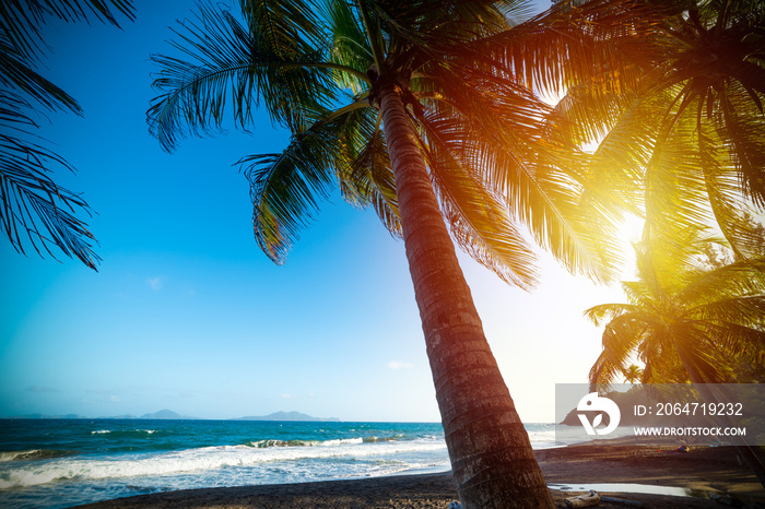 Grande Anse beach at sunset in Guadeloupe