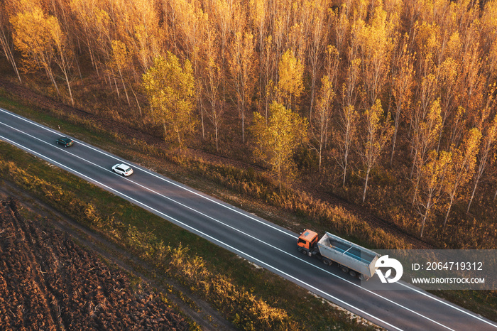 穿过秋季棉白杨林的道路交通鸟瞰图