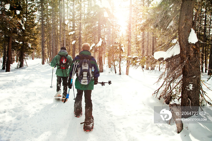 Two men snowshoeing in forest