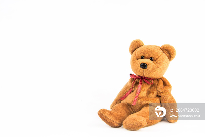 teddy bear on white background