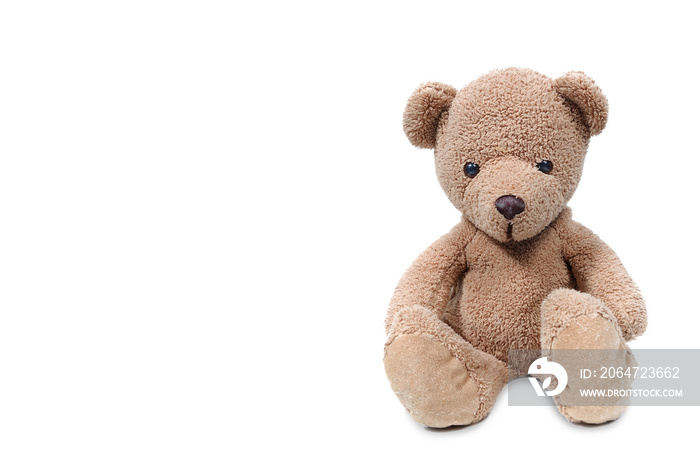 Brown teddy bear sit on white background.