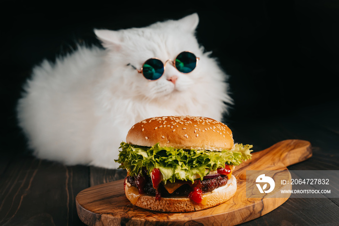 可爱的毛茸茸的猫，戴着墨镜，靠近黑暗背景下的汉堡。凯蒂猫和美味的m快餐