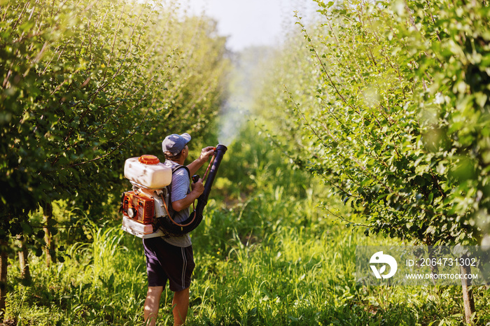 Rear view of Caucasian mature peasant in working clothes, hat and with modern pesticide spray machin