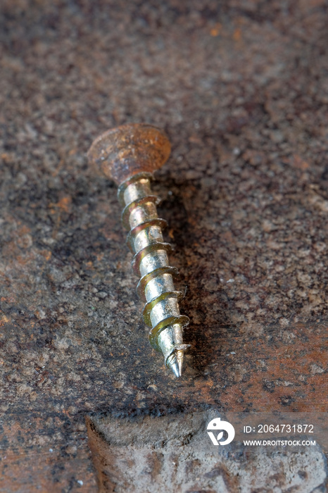 Old rusty screw of the last century