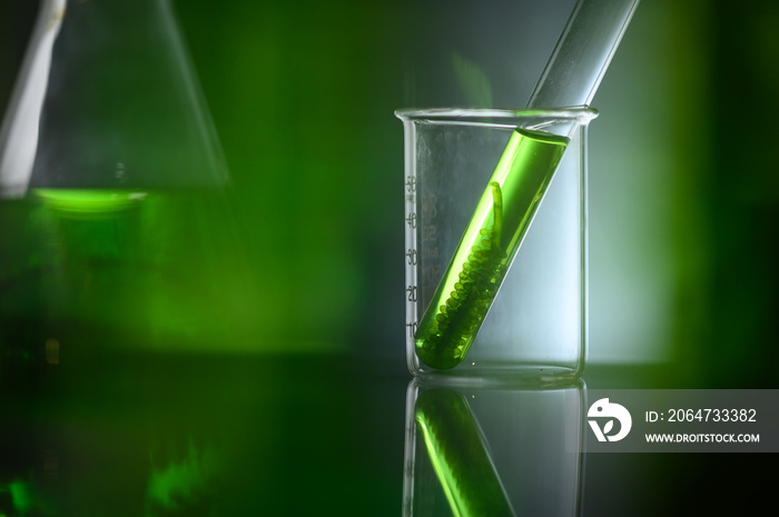 生物技术实验室中的藻类生物燃料管，实验室中的光生物反应器藻类燃料生物燃料行业