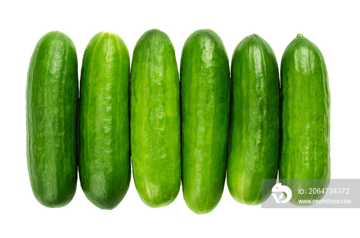 Snack cucumbers in a row, from above. Fresh, small, young and whole cucumber fruits, lined up close 