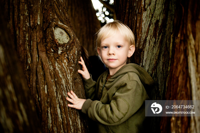 Portrait of boy standing near tree trunk