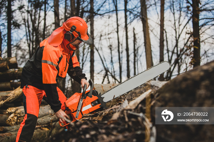 A chainsaw operator with a big orange chainsaw and wearing protective equipment