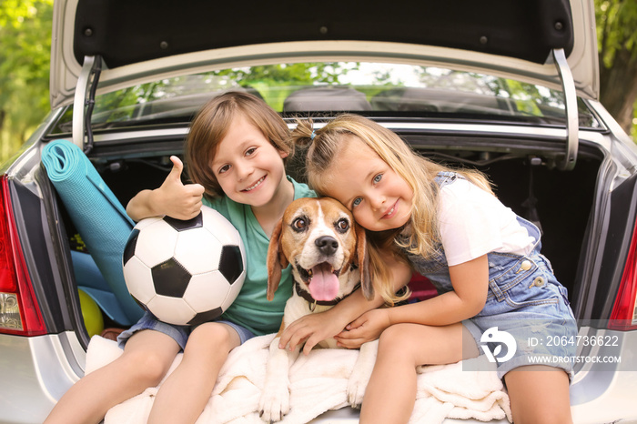 可爱的孩子和狗坐在汽车后备箱里