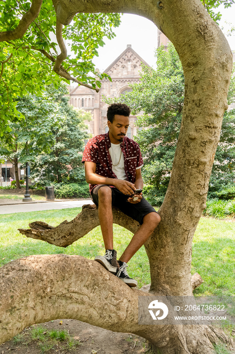 Man with smart phone sitting on tree in park