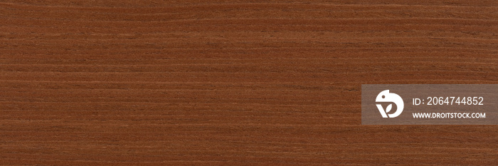 Superlative nut veneer background in stylish brown tone. Natural wood texture, pattern of a long ven