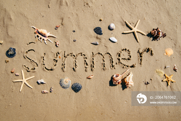 关于沙滩贝壳和周围海星的夏季文字