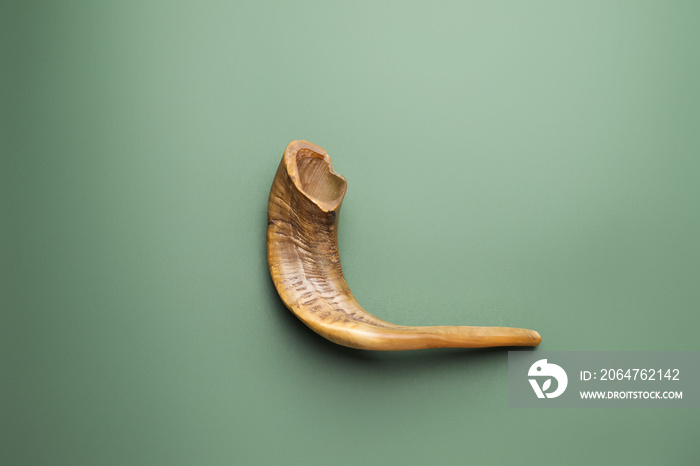 彩色背景上的Shofar。Rosh Hashanah（犹太新年）庆祝活动