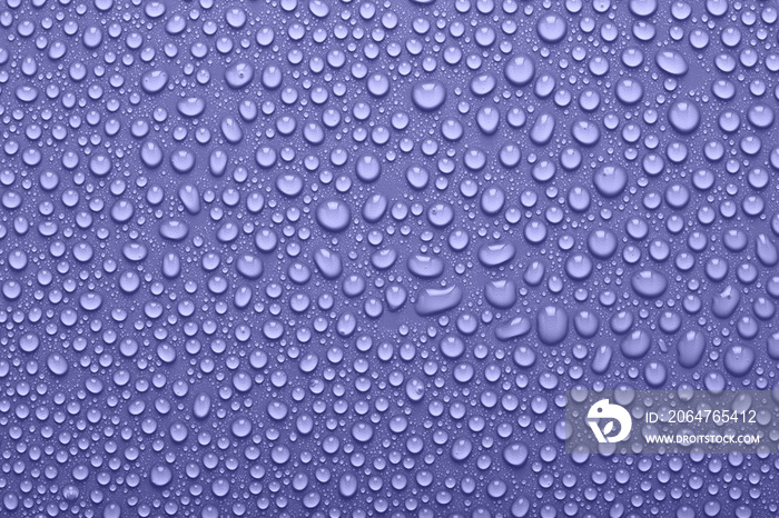 非常接近紫罗兰色的水滴，抽象的背景或纹理。