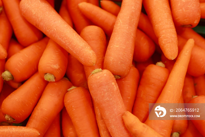 Close up food vegetable carrot. Texture background of fresh large orange carrots. Background photo o