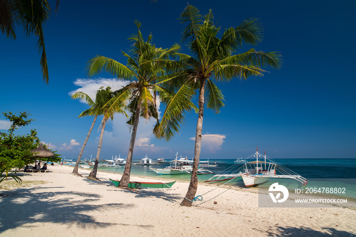 Paradise beaches, beach and coconut tree at Malapascua island. Philippines