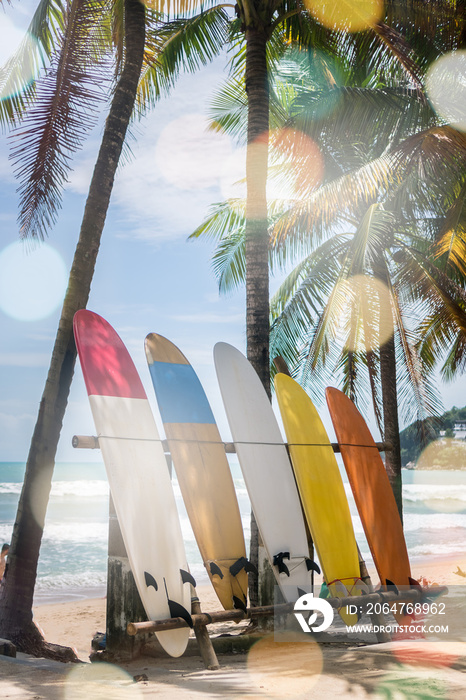 夏日海滩椰子树旁的许多冲浪板，背景是阳光和蓝天。