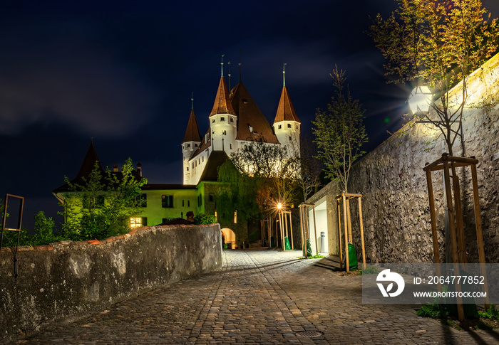 Nightscape of Thun Castle in the city of Thun, Bernese Oberland, Switzerland