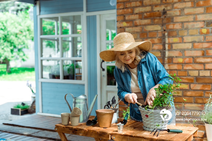 cheerful senior woman in straw hat holding shovel near plant