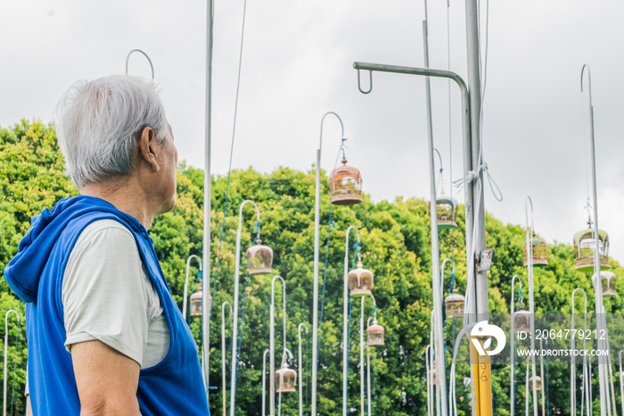 An active aging elderly who is a bird collector