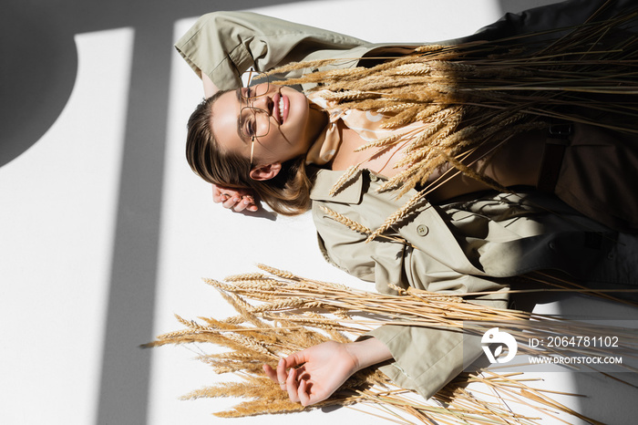 high angle view of cheerful woman in glasses, trench coat and scarf lying near wheat on white