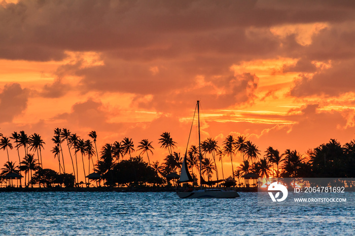 萨岛加勒比海美丽日落下的热带棕榈树和帆船剪影