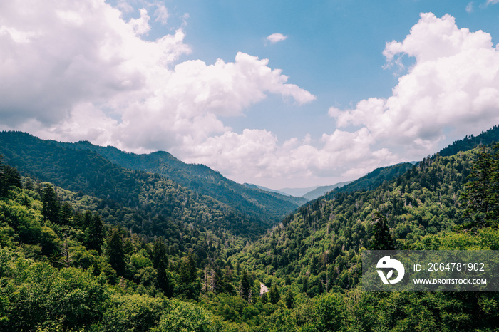 The Great Smoky Mountains near Gatlinburg Tennessee in the summertime with a blue sky and clouds